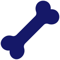 Bone